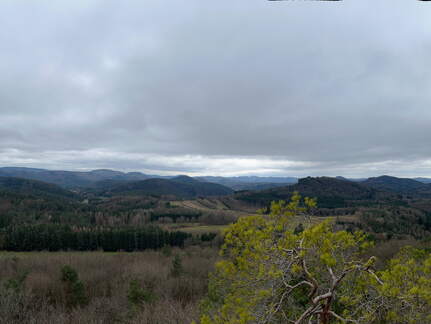 24-03-01 12-14-54 8864